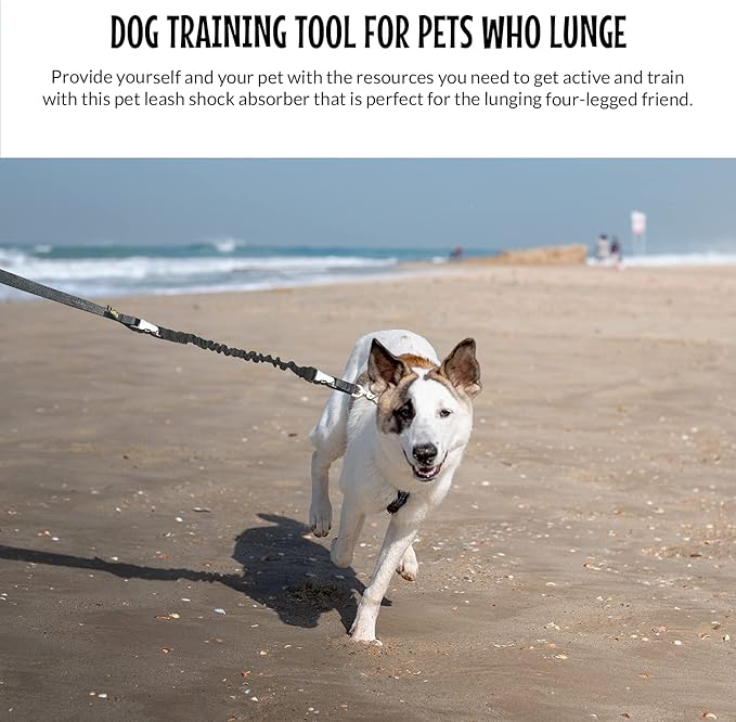 The Buddy System Hands Free Dog Leash, Adjustable Leash for Running, Jogging, Training and Service Dog Made in USA (Bundle Leash + Lunge Buster, Regular Belt (22"- 40" Waist)