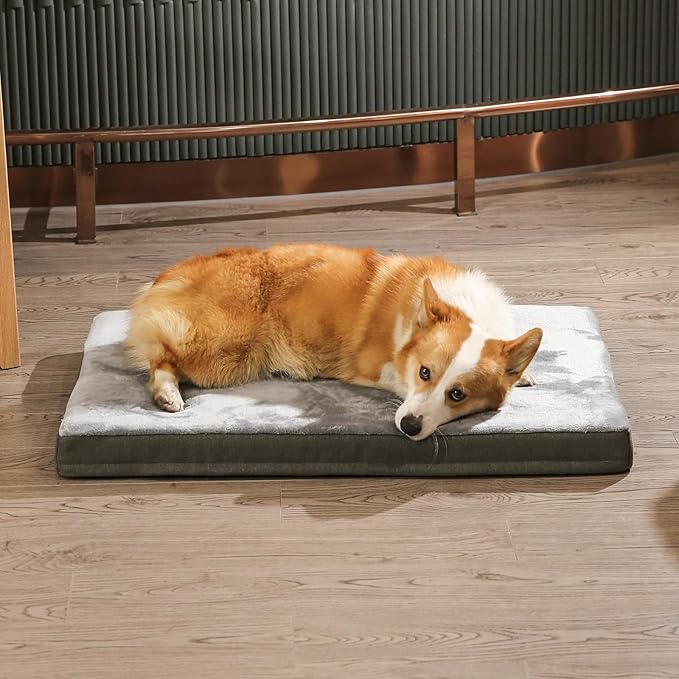 Amazon Basics Dog Bed with Cooling Gel Memory Foam, Machine Washable Removable Cover, Anti-Slip Bottom, Pressure-Relief Support for Dogs up to 90lbs, Extra Large (41" x 29"), Grey