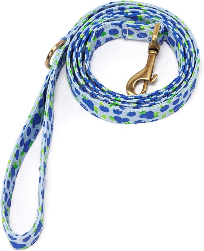 Organic Cotton Dog Leash for Small,Medium and Large Breed,Brass Hardware Pet Leash for Walking,Running and Training 6FT