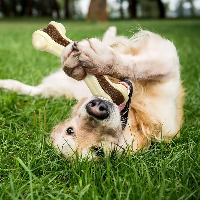 Sosation Dog Toys for Aggressive Chewers Indestructible Nylon Dog Bones Beef Flavor Teething Chew Toys Bones for Large Puppies(Medium)