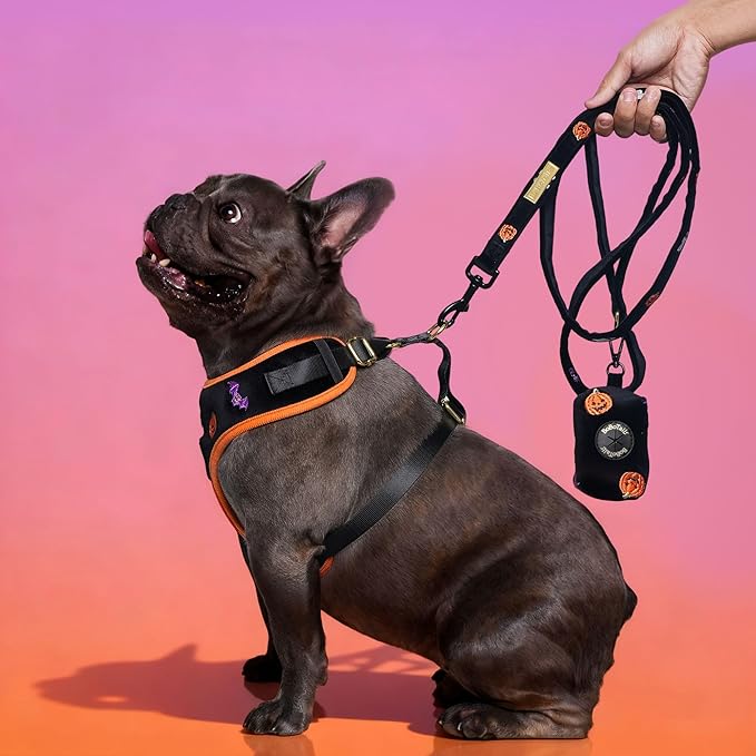 Dog Poop Bag Holder with Clip, Stylish Doggy Waste Bag Dispenser for Dog Leash, Durable Portable Poop Bag Carrier No Include Poop Bag Inside