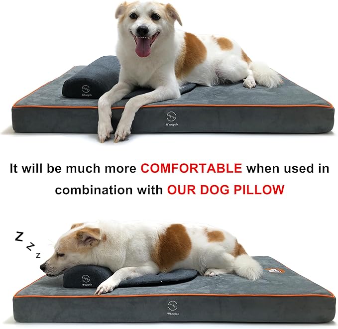 Hard-Wearing Orthopedic Dog Bed for Crate, 29x18 Inch, Made of Memory and HR Foam, Two-Sided Use, Providing Soft and Relatively Hard Support, with an Extra Inner Waterproof Protector (Gray)