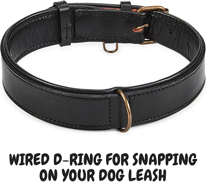 Real Leather Dog Collar Padded Soft Interiors with Premium Vintage Look Handcrafted Heavy Duty with Tag Ring for Small Medium and Large Pets (Large (1.5" Wide for 16.5" - 20.5" Neck), Black)