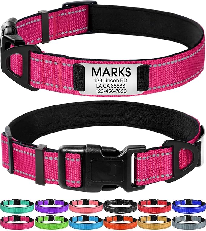 Joytale Personalized Dog Collars with Engraved Name Plate, Silent No Jingle Custom Nylon Collar with Fixed ID Tag, Reflective Soft Neoprene Padded Breathable for for Large Dogs, Hotpink