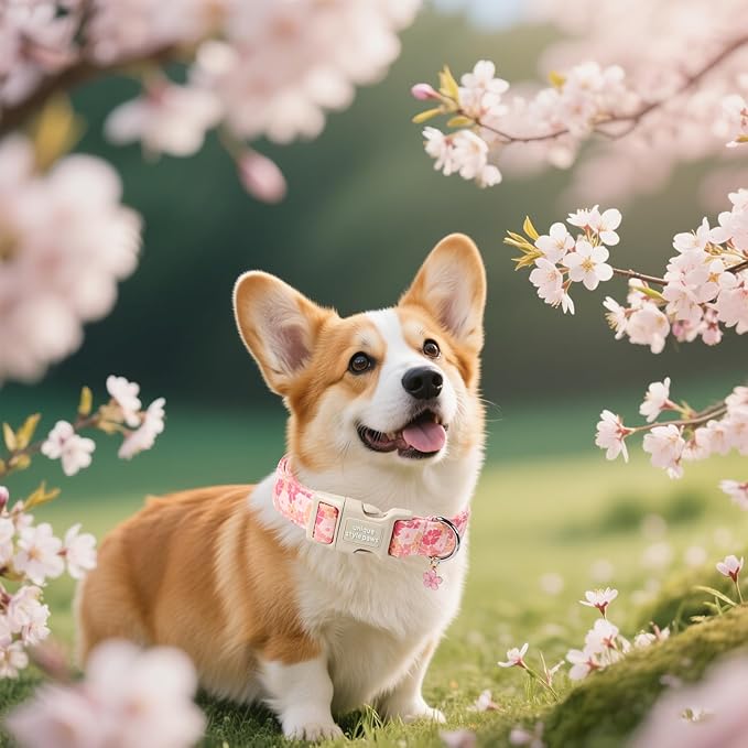 Unique style paws Dog Collar Plastic Buckle with Pendant Pink Spring Flower Puppy Collars for Small Medium Large Boys Girls Dogs