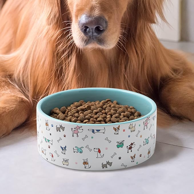 FE FUN ELEMENTS Ceramic Dog Bowls for Small Dogs, 16 Fl Oz Heavy Food and Water Bowl With Adorable Patterns (Small, Blue)
