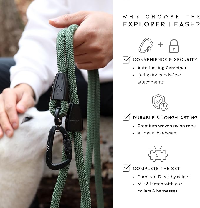 MADE TO ROAM Premium Explorer Leash - Climbing Rope Leash with Autolocking Aviation Aluminum Carabiner - California Horizon, 6ft