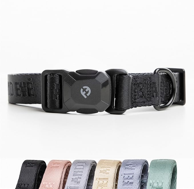 2026 New Edition, Fei & Eve MagEase Dog Collar - Patented Magnetic Buckles | Fur-Safe | Premium 210D Nylon | 450LB Escape-Proof | Adjustable Fit | Small (Black)