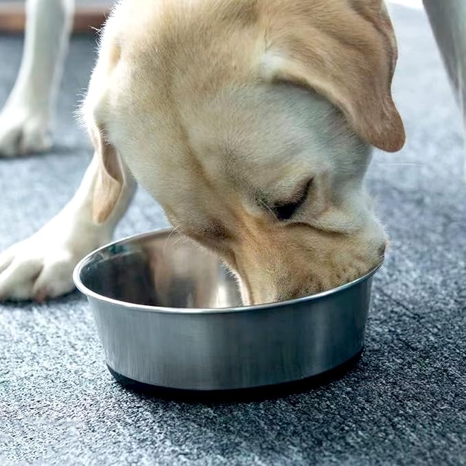 Deep Stainless Steel Non-Skid Dog and Food Bowls, Each Holds Up to 4 Cups, Set of 2 Packs(6.9 x 2.2 Inches)