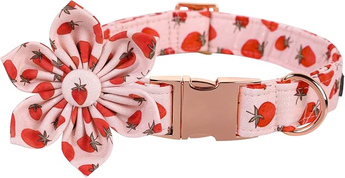 Lionet Paws Dog Collar with Flower - Cute Cotton Adjustable Flower Dog Collar with Metal Buckle for Large Dog Girl Boy, L, Neck 16-24in