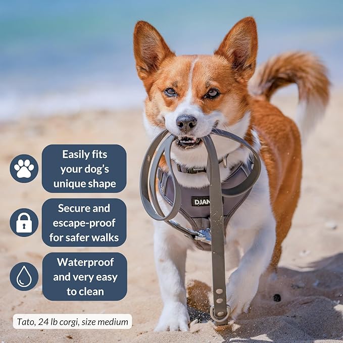 DJANGO Tahoe No Pull Dog Harness – Escape-Proof Dog Harness for Medium & Large Dogs with Front & Back Clips for Everyday Use – Adjustable, Padded, Reflective, Secure, Easy On/Off – Poppy Gray, Large