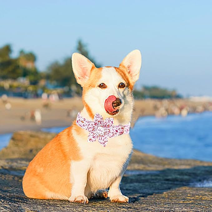 Lionheart Glory Shark Print Pink Collar - Adjustable Soft Durable for Large Dogs