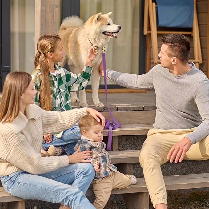 Viper Biothane K9 Working Dog Leash Waterproof Lead for Tracking Training Schutzhund Odor-Proof Long Line with Solid Brass Snap for Puppy Medium and Large Dogs, 20ft Amethyst Purple