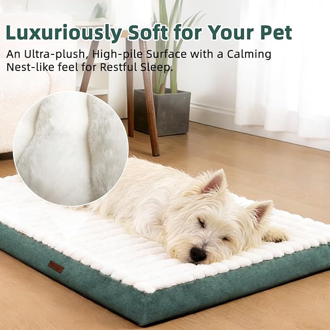 Orthopedic Dog Bed with Firm High-Density Egg Crate Foam, Machine Washable Cover & Non-Slip Bottom for Medium & Large Breeds (Green, 35" L x 22" W x 3" H)