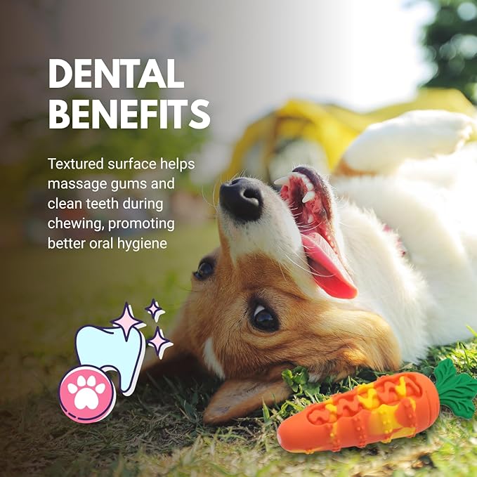 Consumable Corner - Carrot Dog Toy - Silicone Squeaky Chew Toy - for Interactive Play, Teething & Training Durable Material - Safe for All Dogs - Pink - 1 Carrot