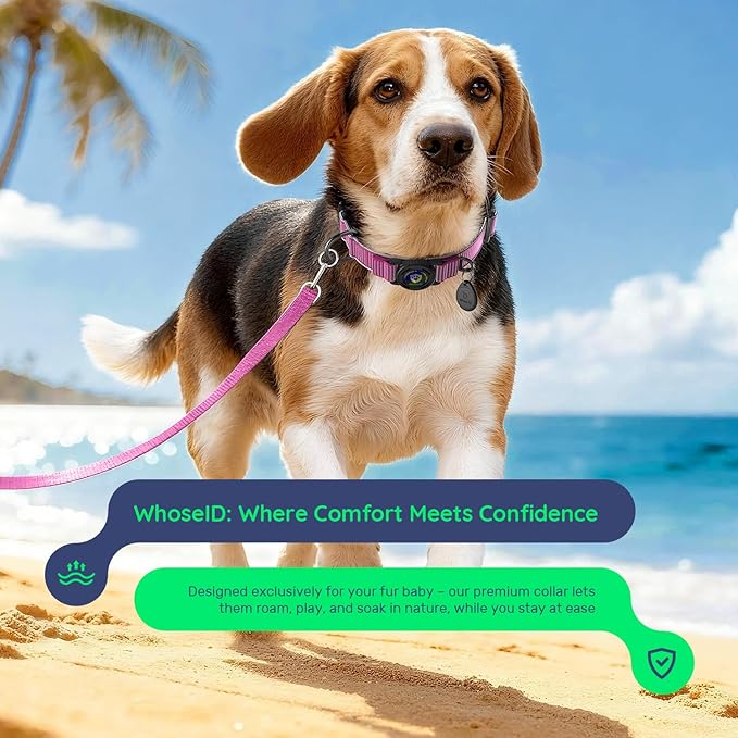 WhoseID Premium AirTag Dog Collar - Waterproof Medium Air Tag Dogs Collar | Magnetic Buckle Heavy Duty Collar | Reflective Dog Collar with AirTag Holder