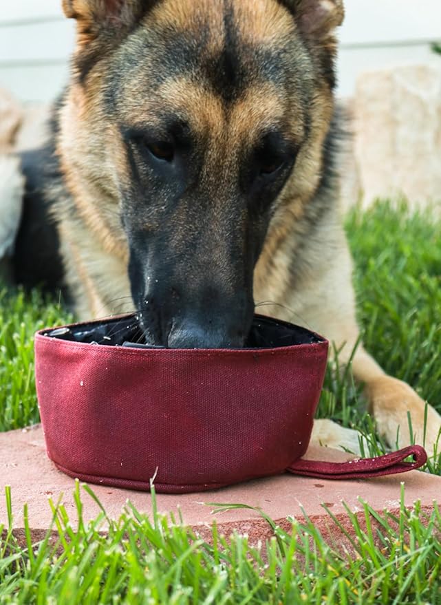 CALDO Collapsible Dog Bowl - Perfect for Food and Water on The Go (Burgundy)