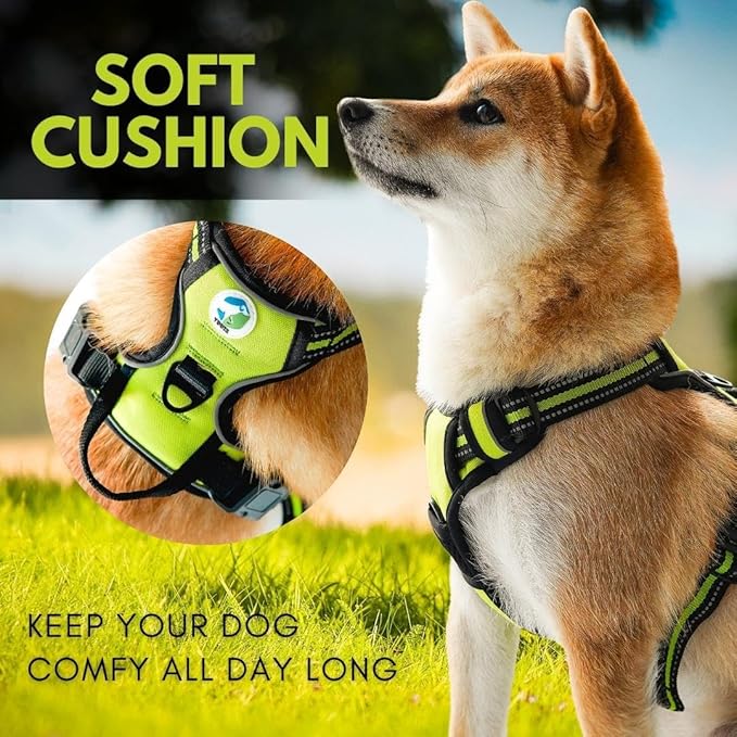 Ziggy Pet Dog Harness Adjustable Nylon Mesh Vest with Leash Clips (Green, Extra Large)