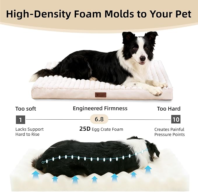 Orthopedic Dog Bed with Firm High-Density Egg Crate Foam, Machine Washable Cover & Non-Slip Bottom for Medium & Large Breeds (Beige, 35" L x 22" W x 3" H)