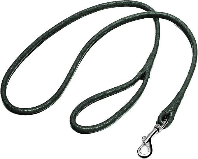 OOPSDOGGY Rolled Leather Dog Lead 6ft Heavy Duty Training Leash for Small Medium Large Dogs & Puppy Black Brown Red (Green, Small)