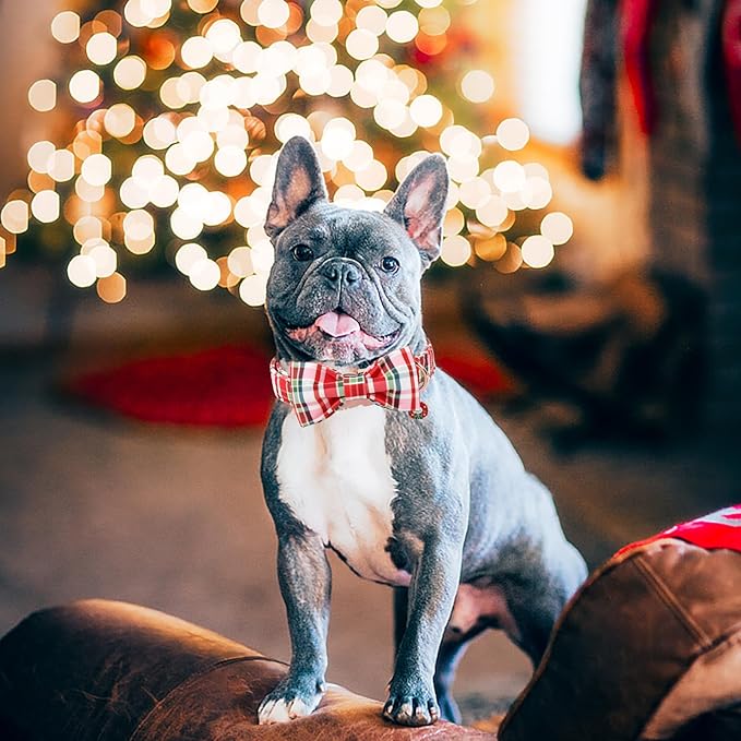 DOGWONG Christmas Dog Collar with Bow Tie - Christmas Red Plaid Puppy Collar, Adjustable Red Checkered Dog Collars for Girl Boy Dogs, S