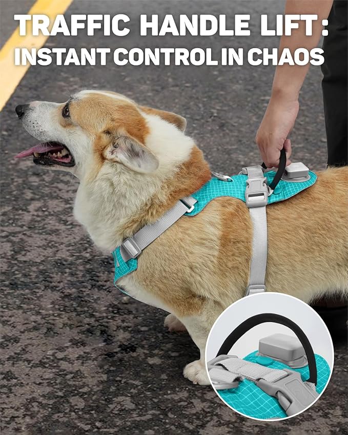 TagME No Pull Dog Harness with 2 Leash Clips,Lightweight & Visible for All-Day Walking,No Choke Pet Vest Includes AirTag Holder for Medium Dogs,Teal