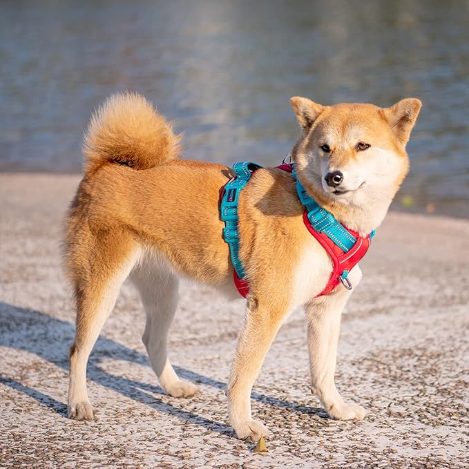 PHOEPET No Pull Dog Harness, Unique Colors Reflective Adjustable Dog Vest, with Soft Training Handle Metal Clips for Small Medium Large Dogs (Red Base & Teal Straps,XL)