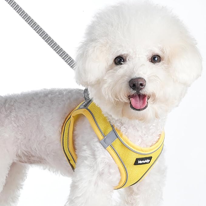 Sparkly Dog Harness Small Sized and Leash Set for Small Dogs Cats,Yellow XXS Puppy Harness, Step in Soft Dog Reflective Vest, Breathable Mesh Pet Harness. (Yellow, XXS)