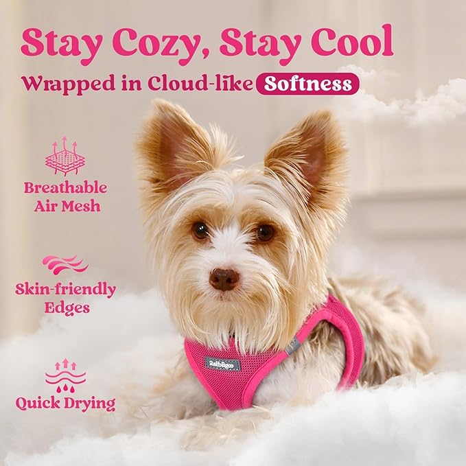 rabbitgoo Small Dog Harness, Step-in Soft Mesh Puppy Vest with Safety Buckle, Breathable Reflective Pet Harness for Small Medium Dogs, Rose Red XL