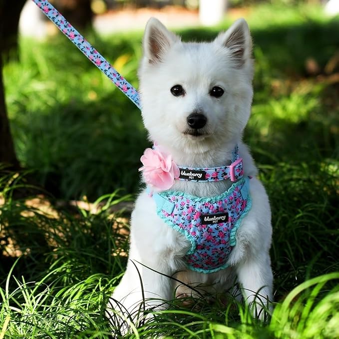 Blueberry Pet Made Well Cute Floral Print Adjustable Dog Collar in Light Blue with Pink Artificial Silk Flower, Medium, Neck 14.5"-20"