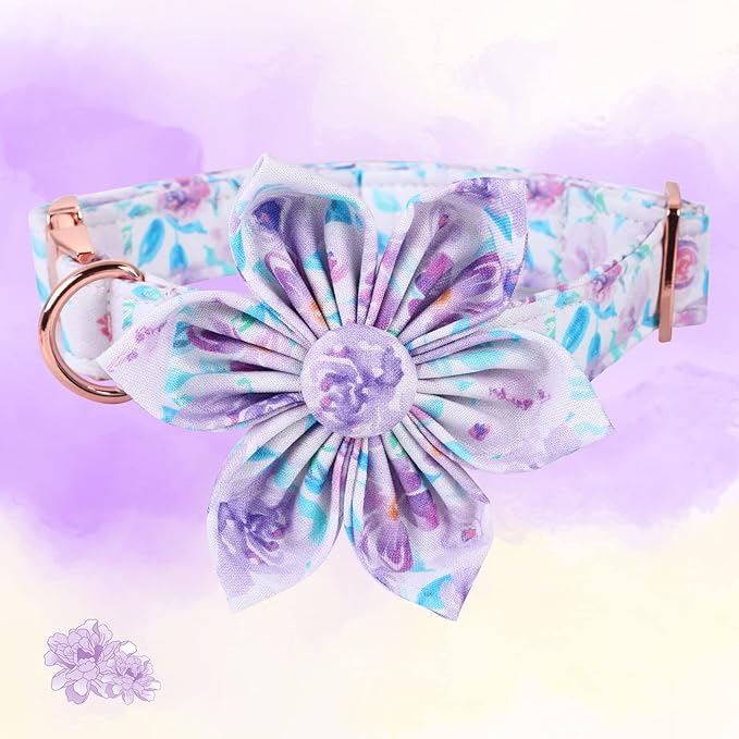 Lionheart Glory Cute Floral Pattern Adjustable Dog Collar for X-Small Dogs - Purple with Flower