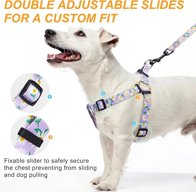 BEAUTYZOO No Pull Dog Harness and Leash Set - Adjustable Step-in Puppy Harness for Small Medium Large Dogs, Escape Proof Soft Nylon Vest with Double D Ring for Walking Running Training, Purple XS