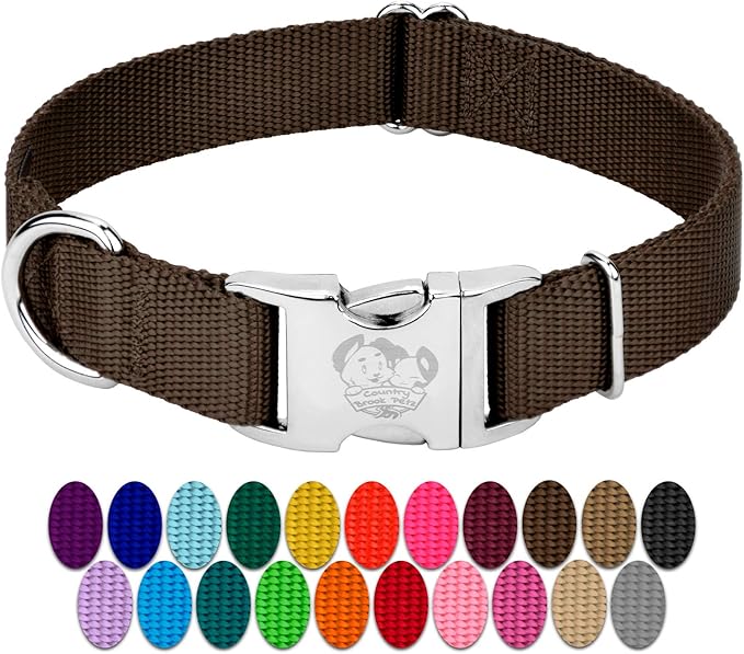 Country Brook Petz - Premium Nylon Dog Collar with Metal Buckle for Small Medium Large Breeds - 10+ Warm Colors (Small, 3/4 Inch, Brown)