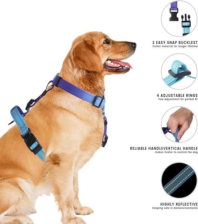 Roses&Poetry Dog Harness for Large Dogs, No-Pull Dog Harness and Leash Set Adjustable Reflective, Dog Vest Harnesses Comfort Padded Handle, Pet Harness for Training Outdoor Walking（Gsky-L