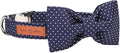 Lionet Paws Boy Dog Collar with Bowtie, Comfortable Adjustable Cute Navy Blue Bow Tie Collar for Male Dogs Gift, XLarge, Neck 16-26 inches