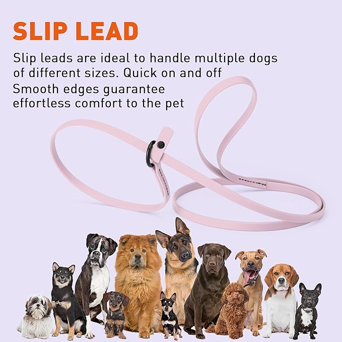 Dogline Biothane Slip Dog Leash - for Small, Medium and Large Dogs - Odor Free Slip Lead, Heavy Duty and Durable Material Kennel Lead - Pastel Purple - 5ft L x 3/8in W
