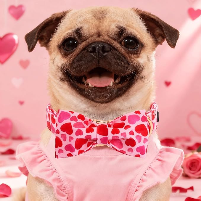 Elegant little tail Valentine's Dog Collar - Pink Red Heart Dog Collars Bowtie Pet Collars with Sturdy Metal Buckle Cute Bow Puppy Adjustable Collar for Medium Dogs