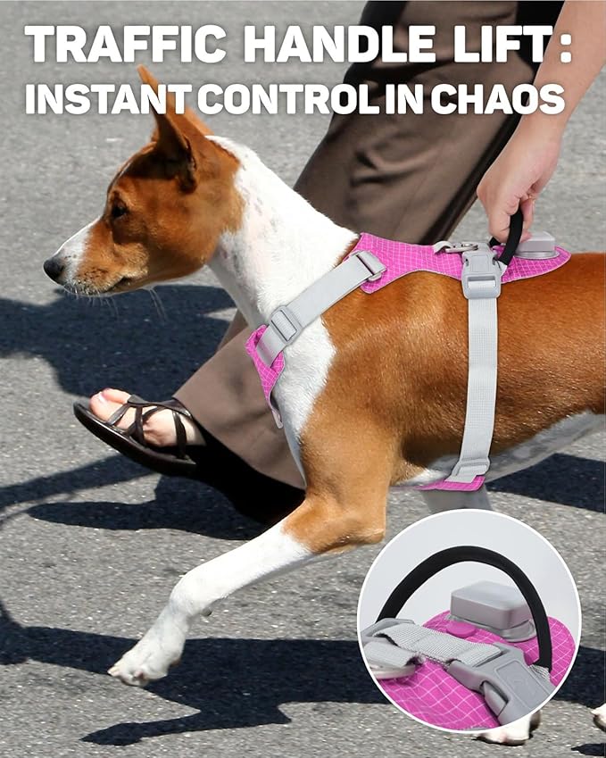TagME No Pull Dog Harness with 2 Leash Clips,Lightweight & Visible for All-Day Walking,No Choke Pet Vest Includes AirTag Holder for Small Dogs,Fuchsia Pink