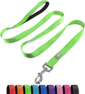 Basic Dog Leashes 6 FT Padded Handle Nylon Dogs Leashes for Small Dogs Green