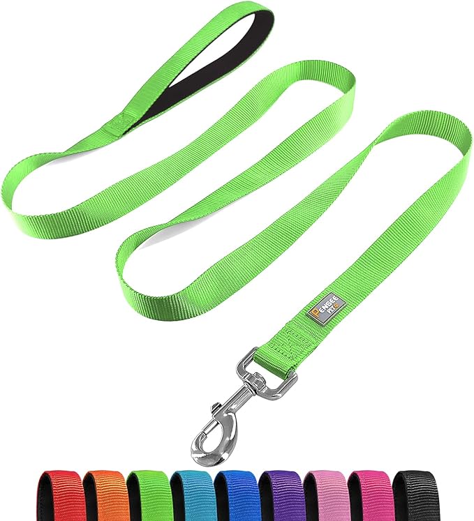 Basic Dog Leashes 6 FT Padded Handle Nylon Dogs Leashes for Small Dogs Green