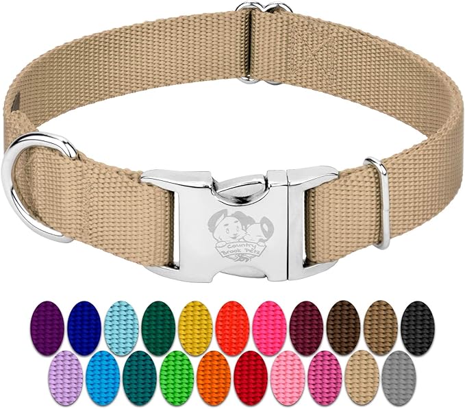 Country Brook Petz - Premium Nylon Dog Collar with Metal Buckle for Small Medium Large Breeds - 10+ Warm Colors (Large, 1 Inch, Copper Gold)
