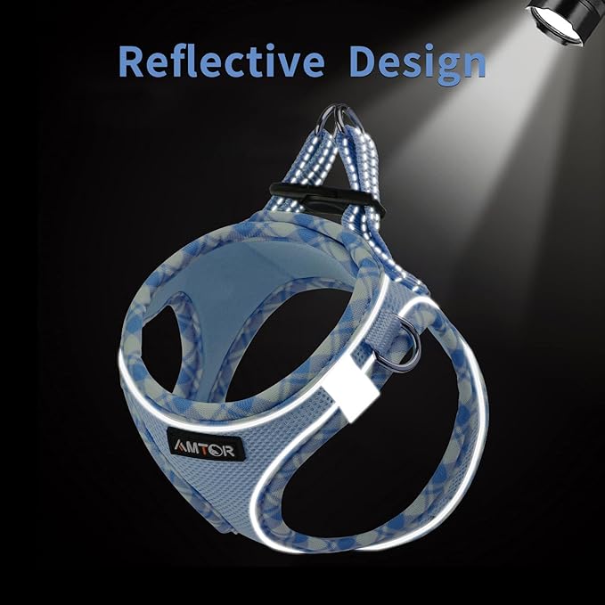 AMTOR Small Dog Harness with Leash Set, No Escape Easy Walk Puppy Harnesses for Training Walking, Step-in Reflective Soft Dogs Vest for XS S Medium Extra-Small Large Sized Dog(XXS Size,Blue/White)