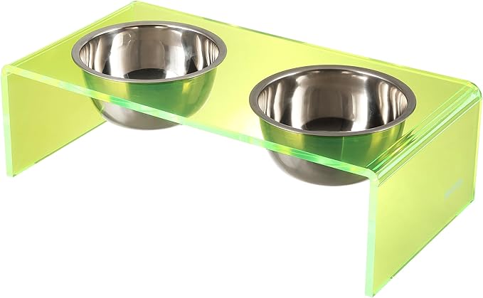 The LICKER Store DBL2000G Keaton 5" Small/Medium Modern Acrylic Rectangular Elevated Pet Feeder with 20oz 2-Stainless Steel Bowls, Green/Chrome