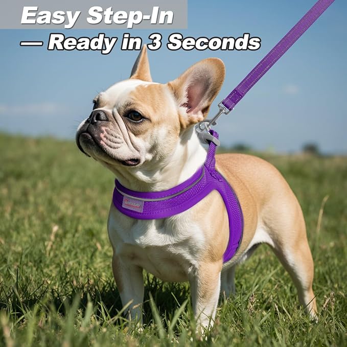 Dog Harness and Leash Set,Step in Small Sized Dog Harness,Soft Mesh,No-Chock,Reflective Adjustable,Secure with Hook & Loop Fastener,Puppy Vest for Small,Medium Dogs(Purple,S)
