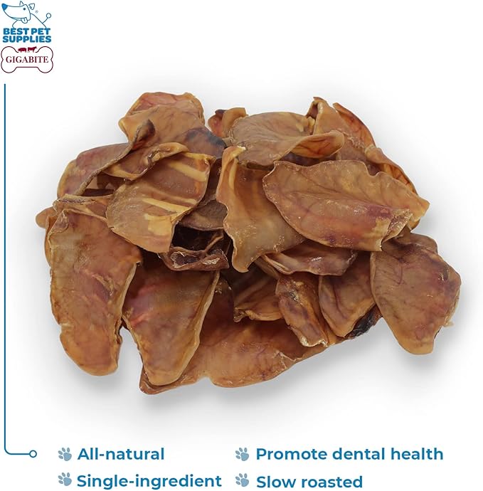 Best Pet Supplies GigaBite Roasted Pig Ears for Dogs - Natural Dog Chews, Roasted Pigs Ears, Safe for Puppies and Aggressive Chewers, Cleans Teeth and Gums - Whole Ears, Pack of 32