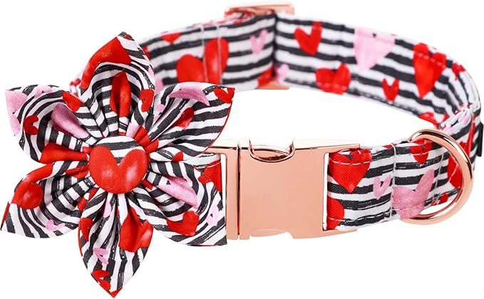 Lionet Paws Valentines Dog Collar with Flower, Dog Flower Collar with Metal Buckle for Dogs, Adjustable Comfortable Dogs Collars Girl, L, Neck 16-24 in