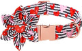 Lionet Paws Valentines Dog Collar with Flower, Dog Flower Collar with Metal Buckle for Dogs, Adjustable Comfortable Dogs Collars Girl, L, Neck 16-24 in