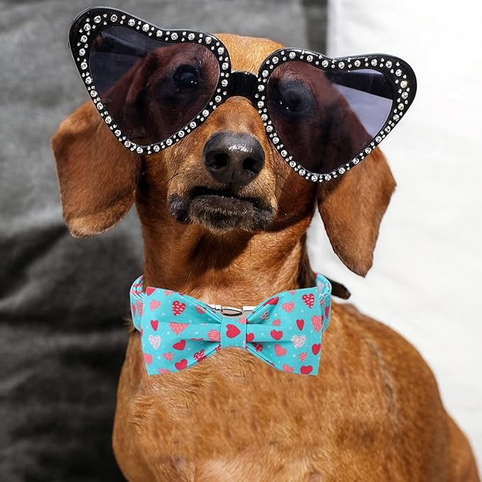 DOGWONG Valentine's Dog Collar With Bowtie - Blue Heart Adjustable Cotton Collar for Small, Medium, Large Dogs