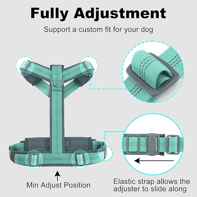 Plutus Pet No Pull Dog Harness, Adjustable Nylon Harness with Soft Padding, Reflective and Heavy Duty Dog Harness for Small, Medium, Large Dogs(Teal, XS)