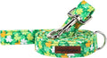 Unique style paws St. Patrick's Day Dog Leash Clover Leash with Flower for Small Medium Large Boys Girls Dogs